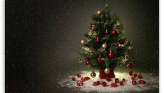 بالفيديو- كيف تصنعون شجرة ميلاد من الشوك البلاستيكية!