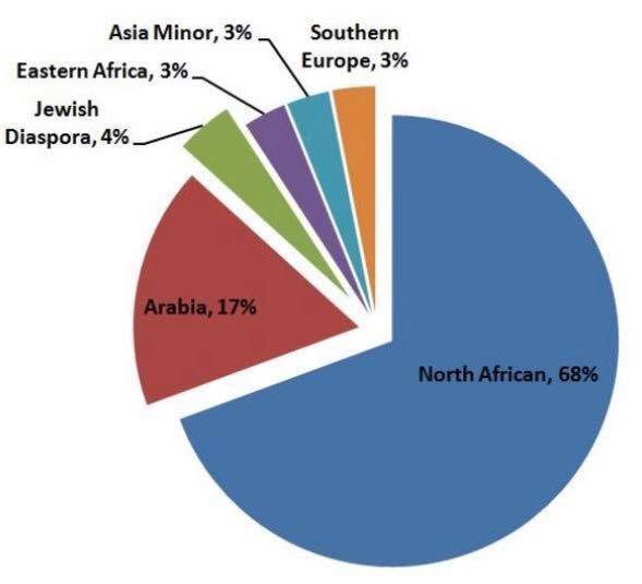 العرب أصلهم ليس عربا...مفاجأت مذهلة في التحليل الجيني