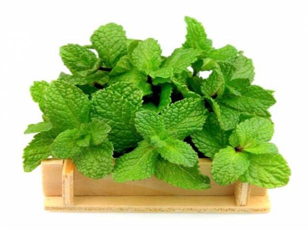 See the source image