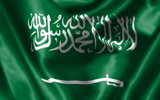 الدولة الداعشيّة ... الدولة الوهابيّة! ثريا عاصي 1 souraya 380681 large