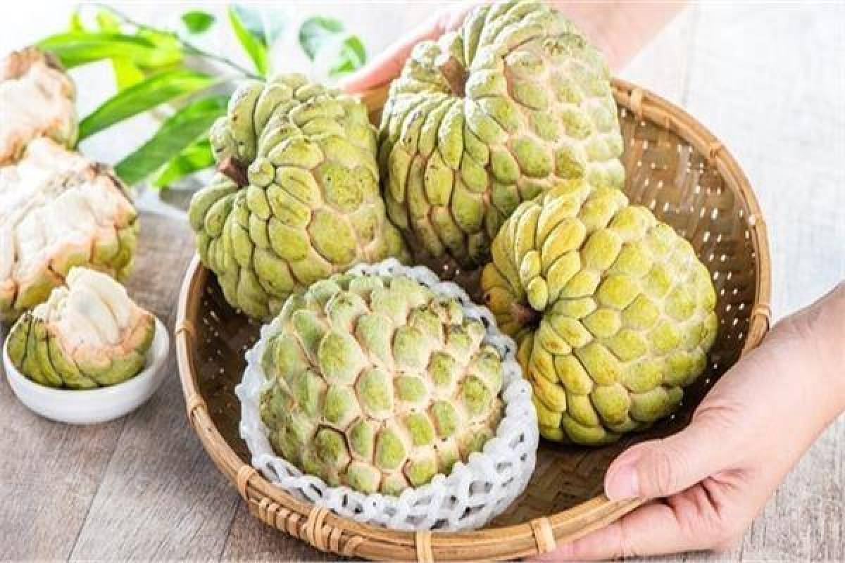 “The amazing fruit” protects against heart disease and fights cancer. “Cherimoya” or “cream” is useful in treating arthritis and rheumatism – Nada Abdel Razzaq